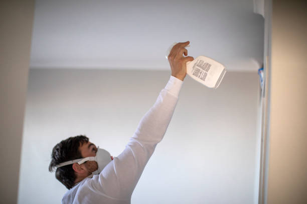 Best Mold Removal Process  in Amery, WI