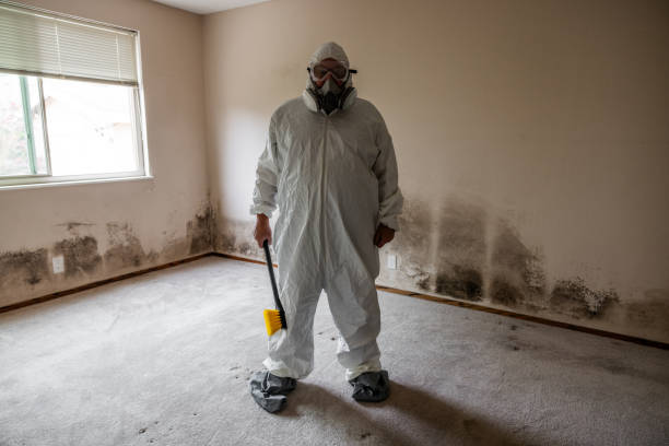 Best Crawl Space Mold Removal  in Amery, WI